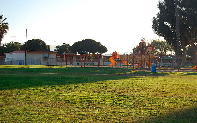 DSC 0626