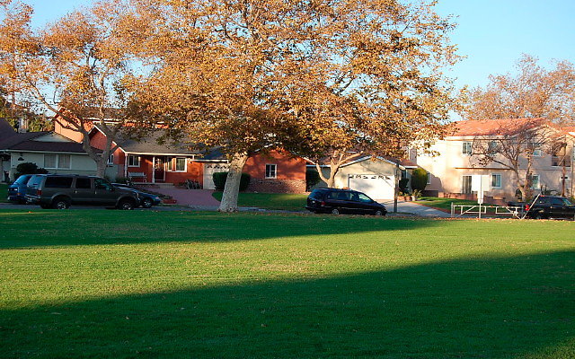 DSC 0616