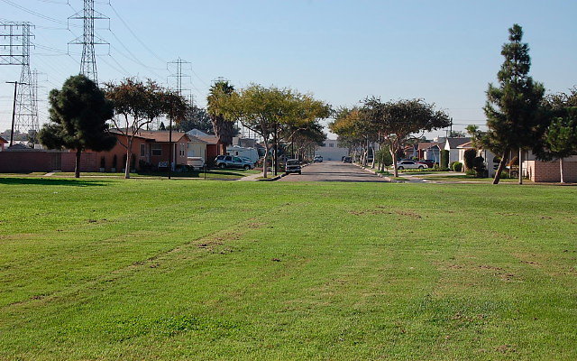 DSC 0326
