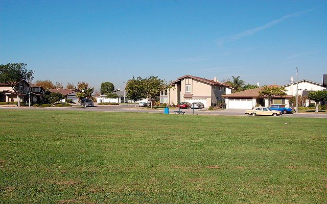 DSC 0309