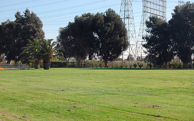 DSC 0305