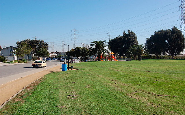 DSC 0302