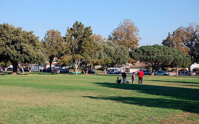 DSC 0488