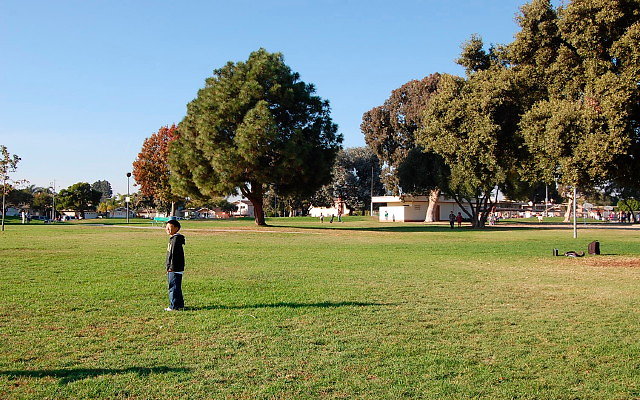DSC 0493