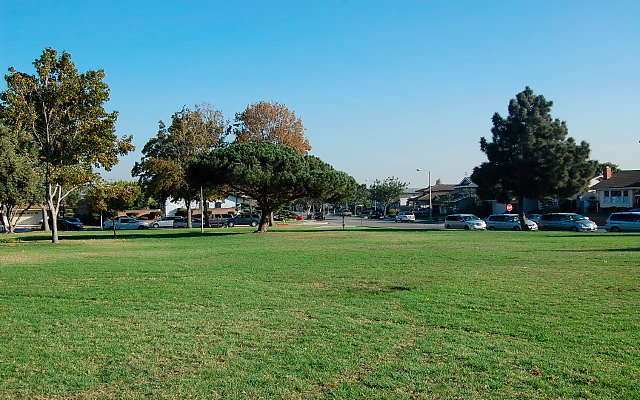 DSC 0472