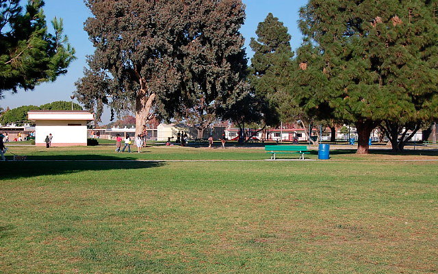 DSC 0486