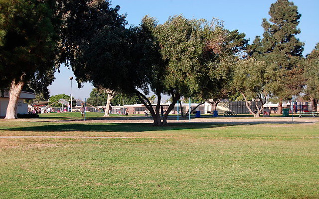 DSC 0460