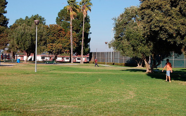 DSC 0461