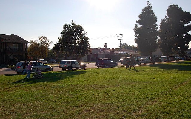 DSC 0491