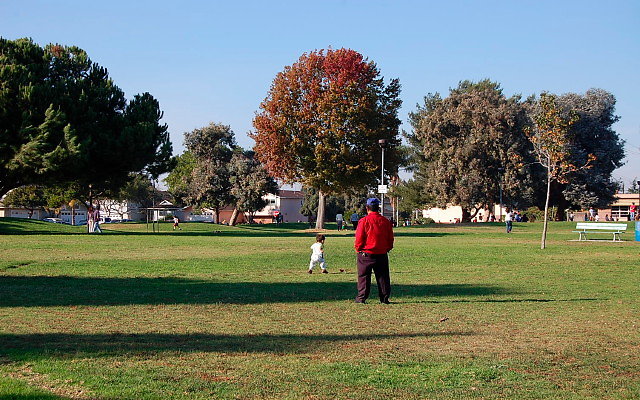 DSC 0456
