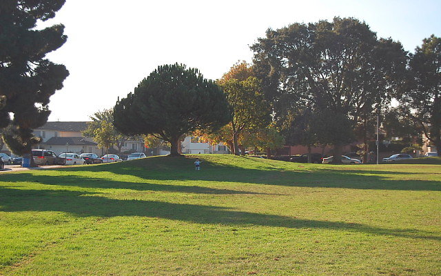 DSC 0494