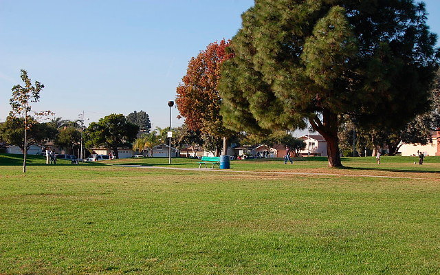 DSC 0496