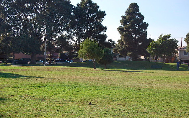DSC 0469