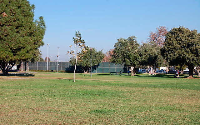 DSC 0487