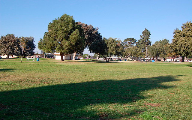 DSC 0454