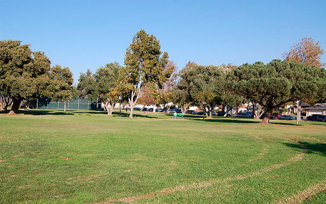 DSC 0455