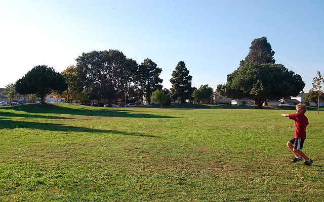 DSC 0492