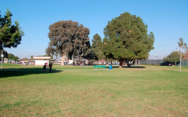 DSC 0479