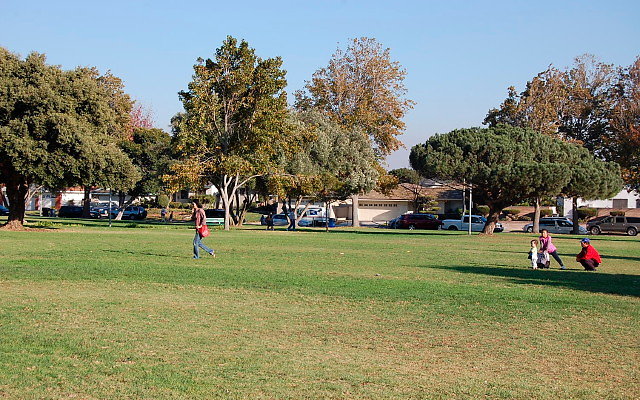 DSC 0483
