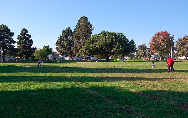 DSC 0453