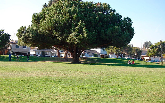 DSC 0470