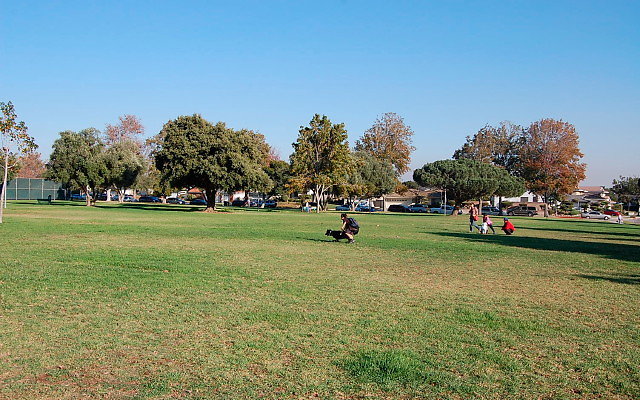 DSC 0480