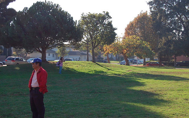 DSC 0468