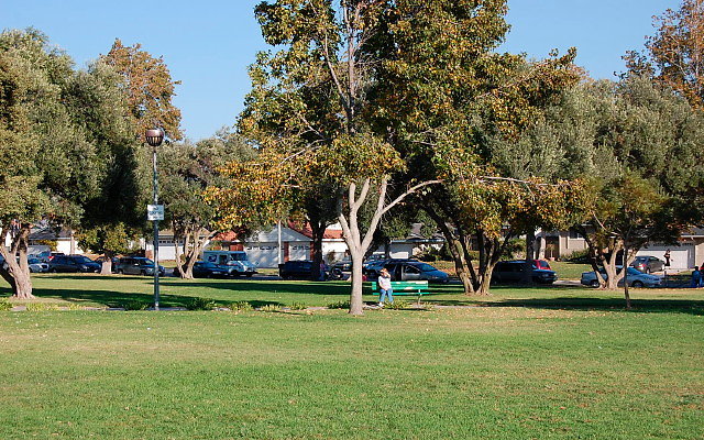 DSC 0462