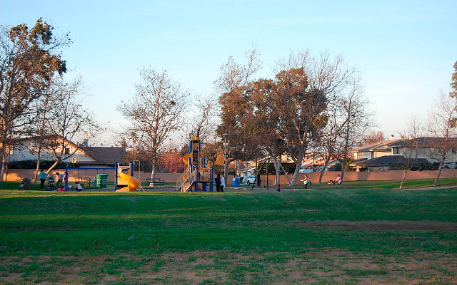 DSC 0665