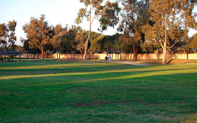 DSC 0662
