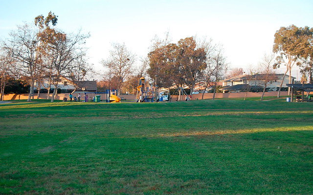 DSC 0661