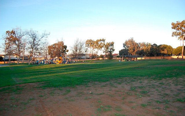 DSC 0688