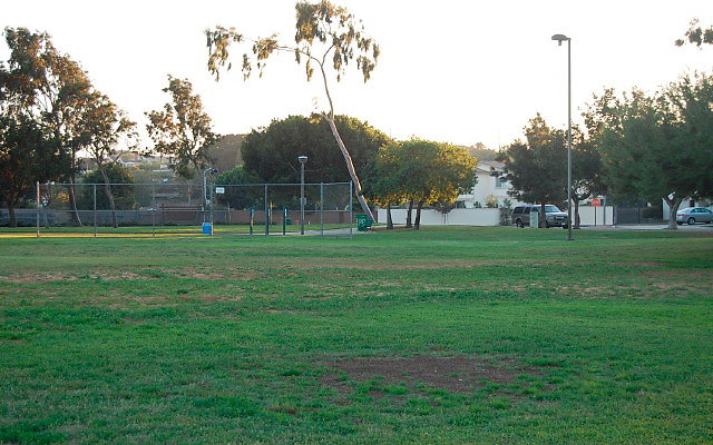 DSC 0681