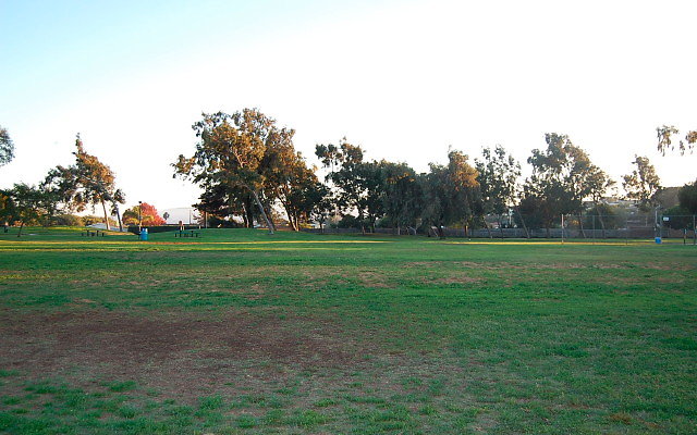 DSC 0677