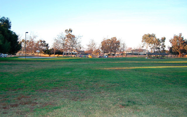 DSC 0658