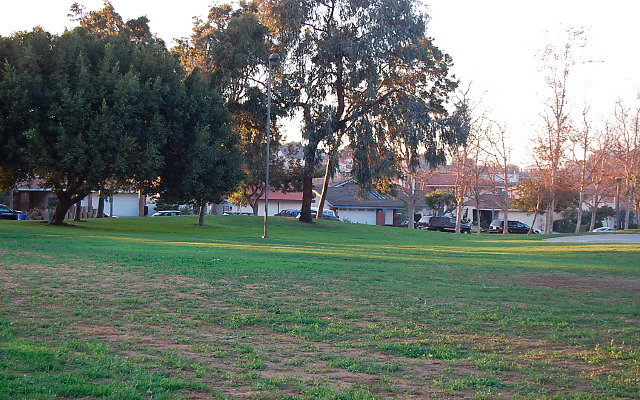 DSC 0687