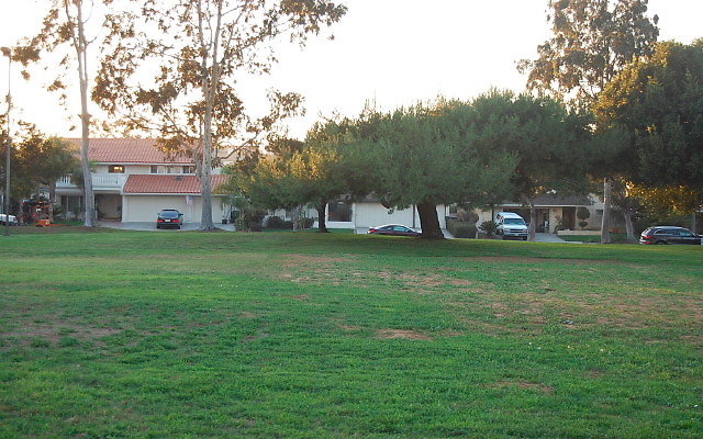 DSC 0686