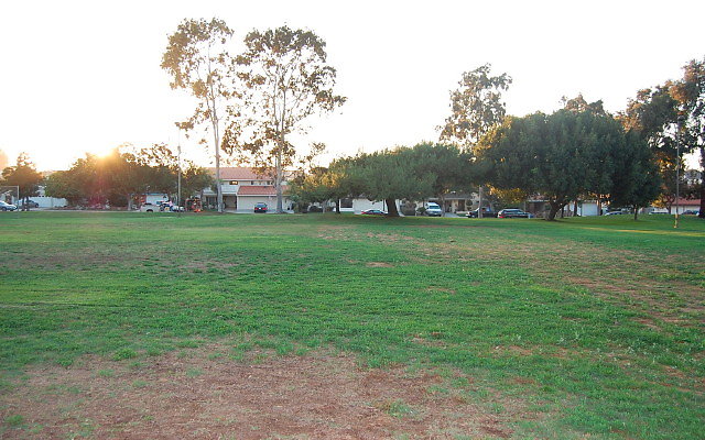 DSC 0683