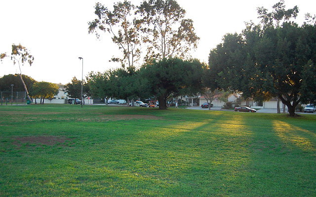 DSC 0678