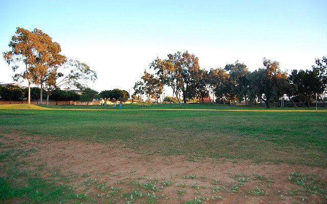 DSC 0690