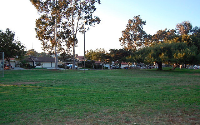 DSC 0657