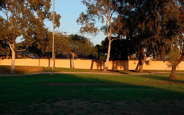 DSC 0668