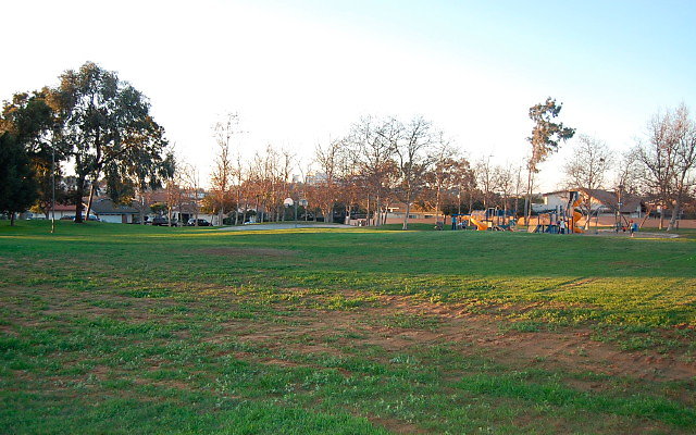 DSC 0684