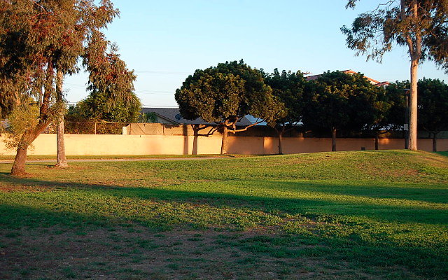 DSC 0669