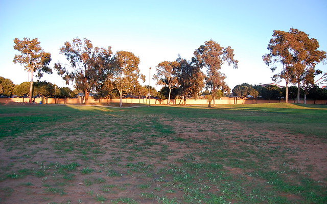 DSC 0689