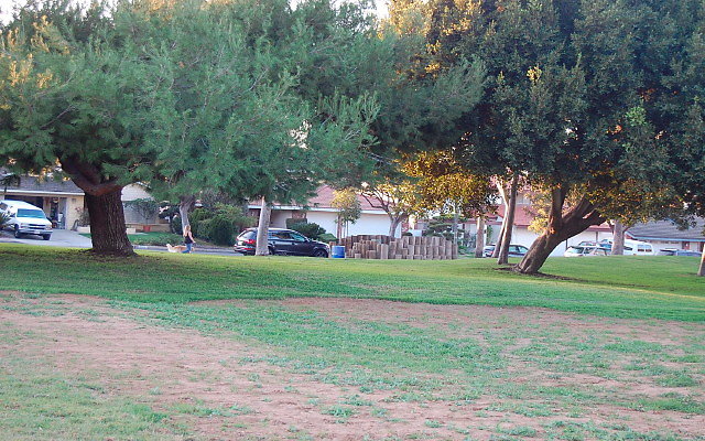 DSC 0675