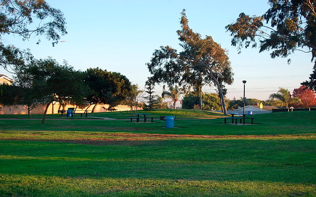 DSC 0670
