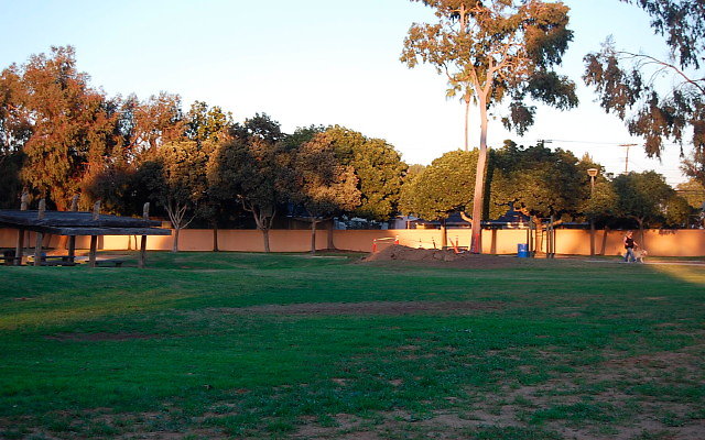 DSC 0691