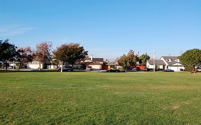 DSC 0560