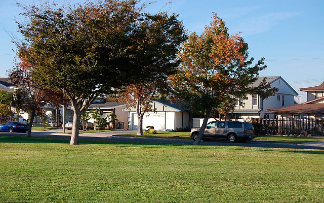 DSC 0544